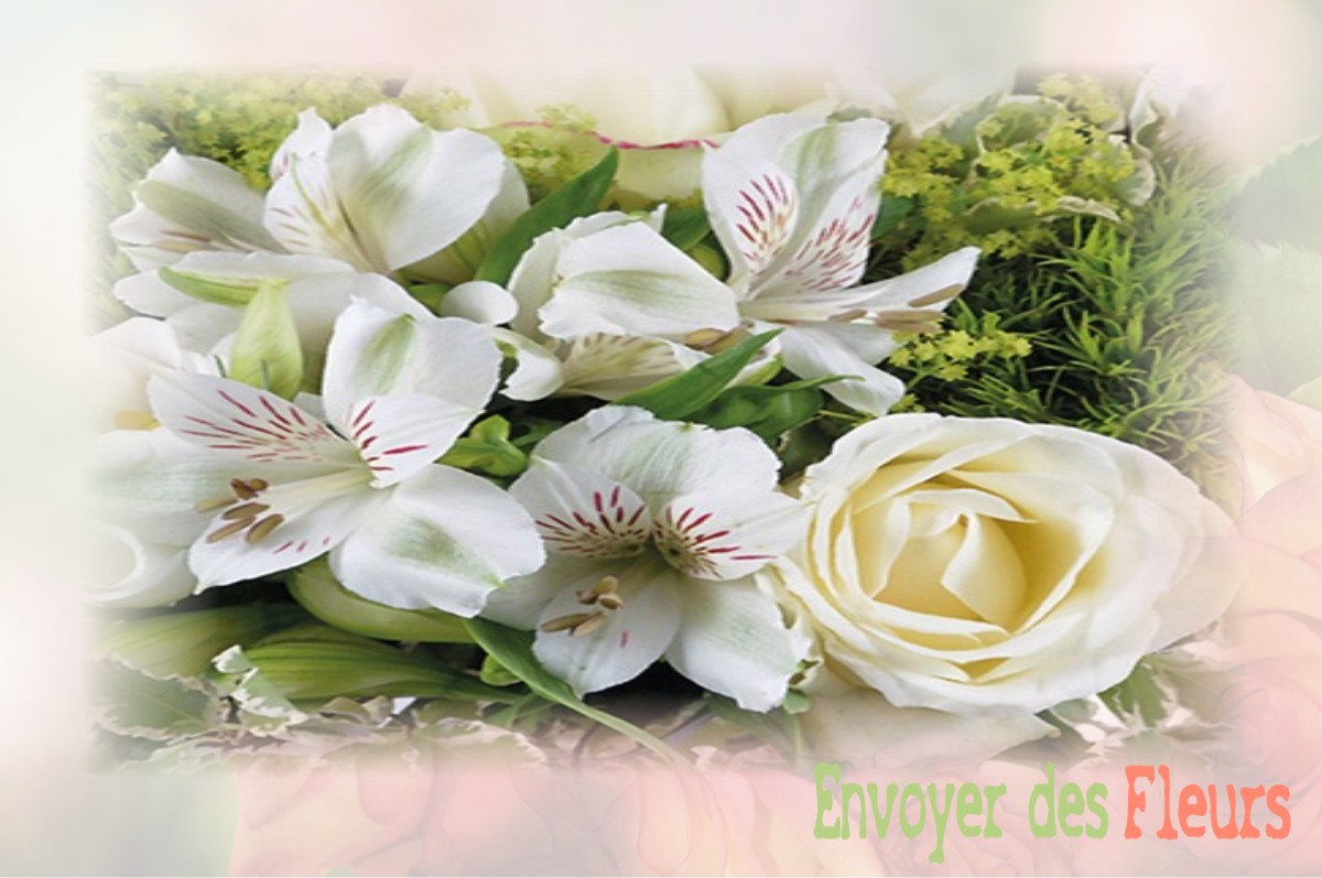 envoyer des fleurs à à SAINT-PIERRE-DU-CHEMIN